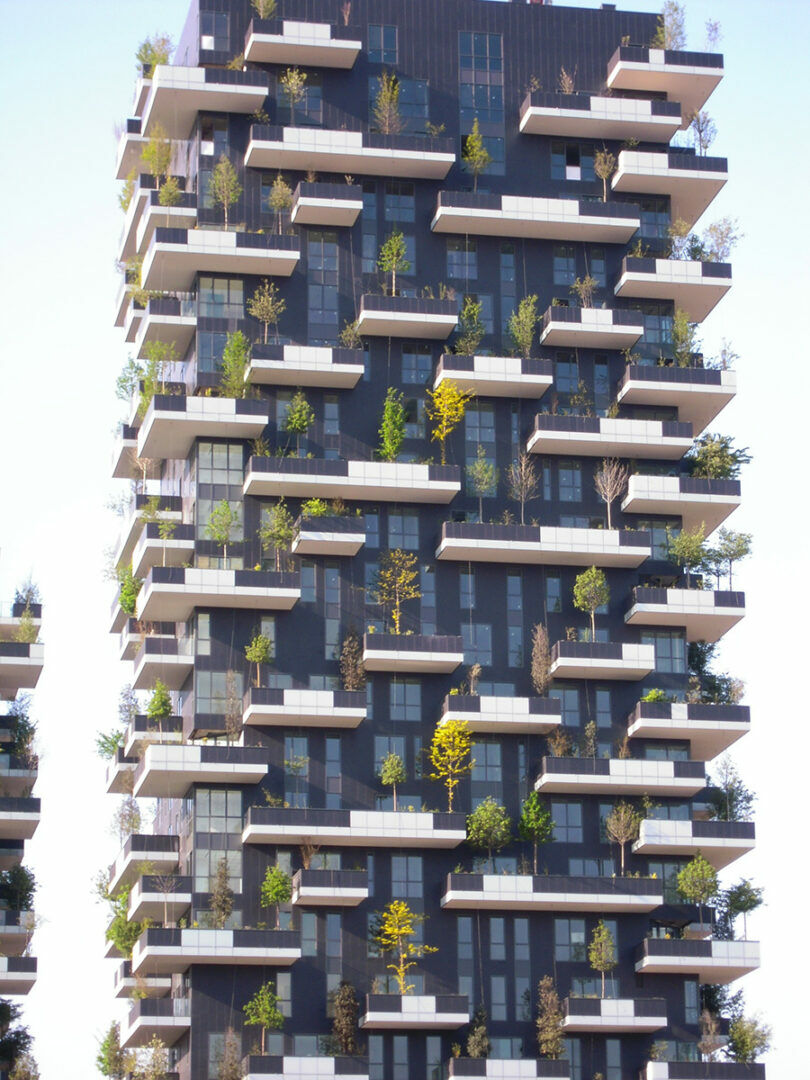 bosco verticale 1