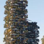 Bosco verticale aderma locatelli