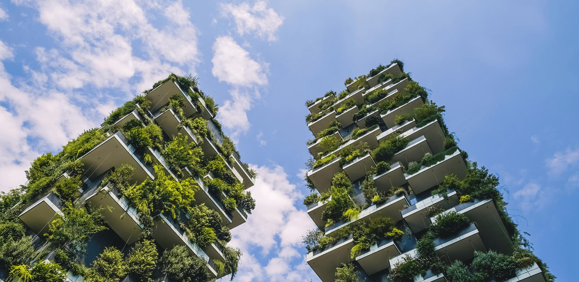 bosco verticale photogallery 0